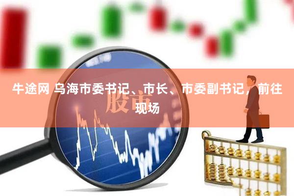 牛途网 乌海市委书记、市长、市委副书记，前往现场