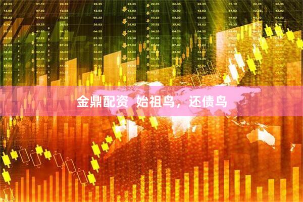 金鼎配资  始祖鸟，还债鸟