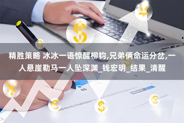 精胜策略 冰冰一语惊醒柳钧,兄弟俩命运分岔,一人悬崖勒马一人坠深渊_钱宏明_结果_清醒