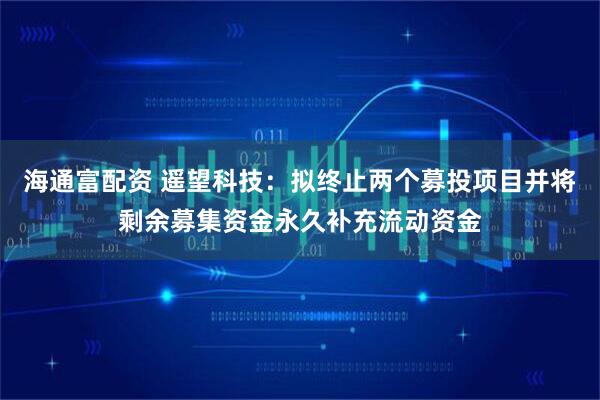海通富配资 遥望科技：拟终止两个募投项目并将剩余募集资金永久补充流动资金