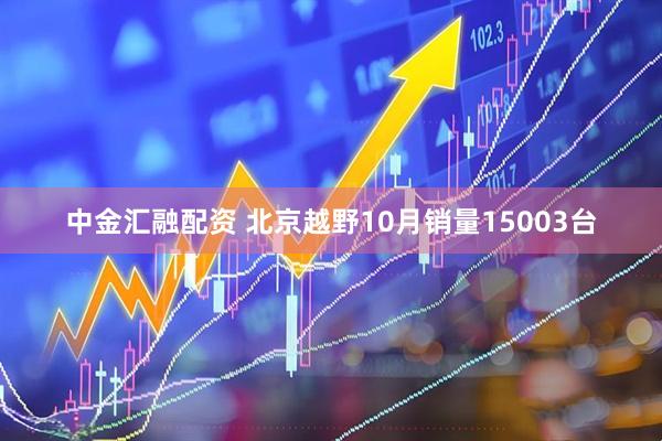 中金汇融配资 北京越野10月销量15003台