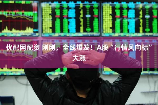 优配网配资 刚刚，全线爆发！A股“行情风向标”大涨